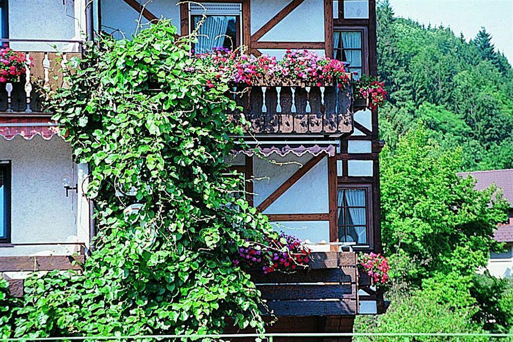 Hotel Hirsch Bad Peterstal-Griesbach Zewnętrze zdjęcie
