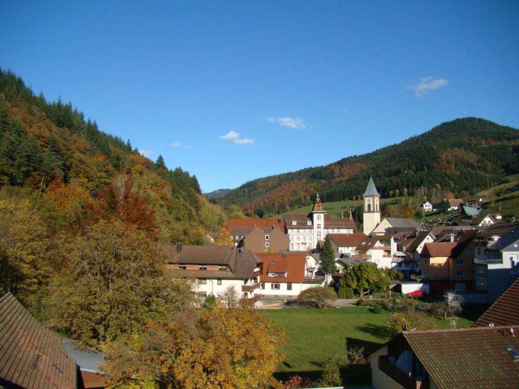Hotel Hirsch Bad Peterstal-Griesbach Zewnętrze zdjęcie
